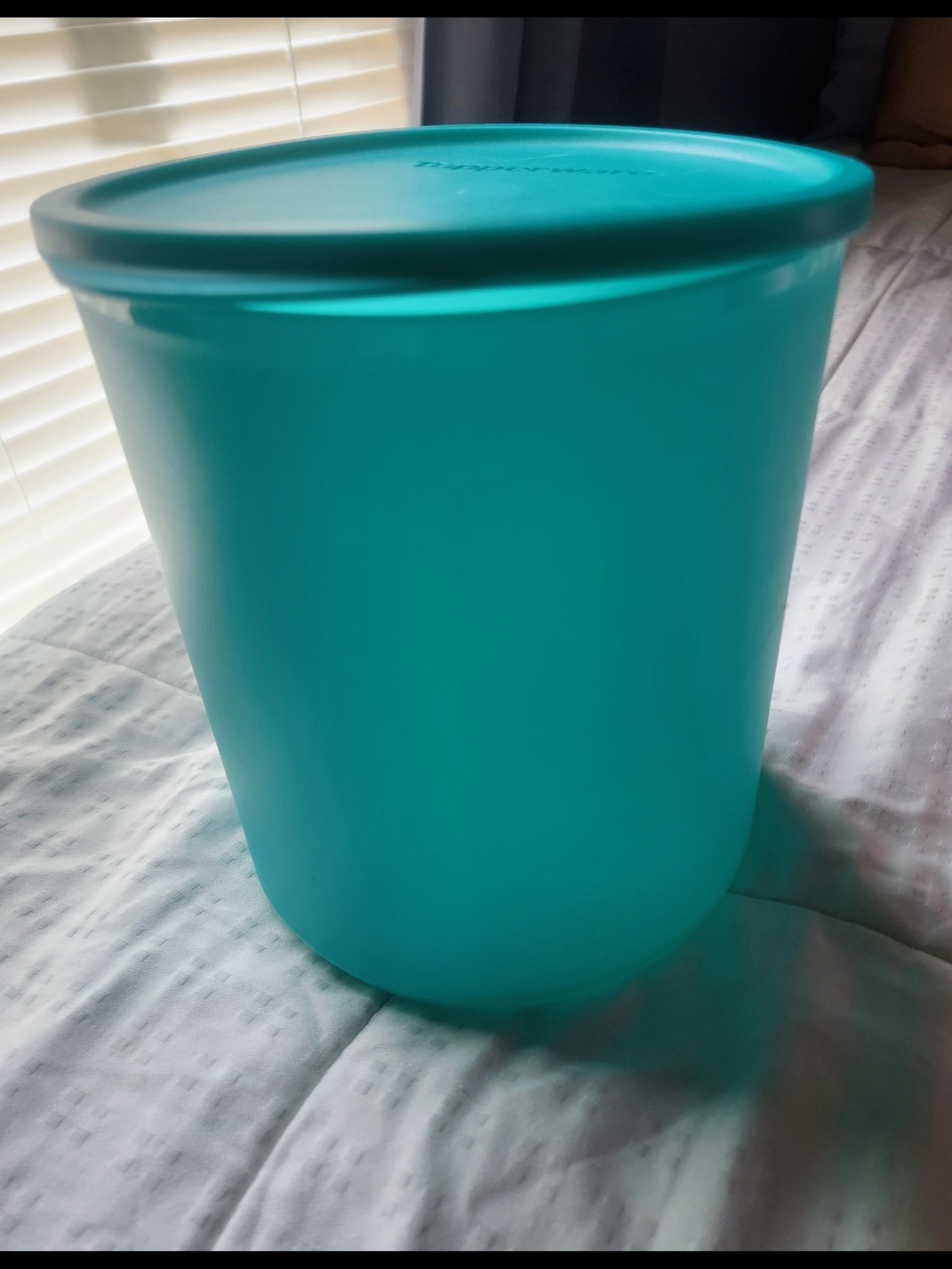 Tupperware Teal Food Storage Container 3.3 L
